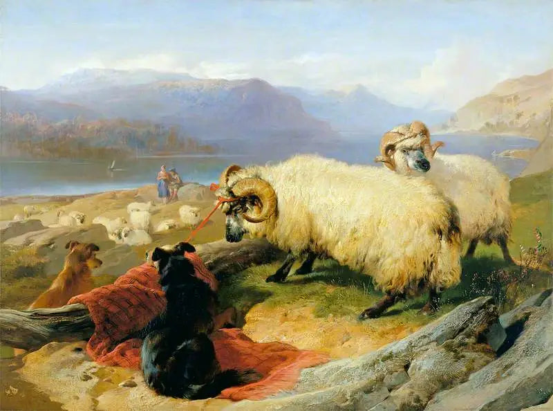 Připojení berani - Edwin Henry Landseer