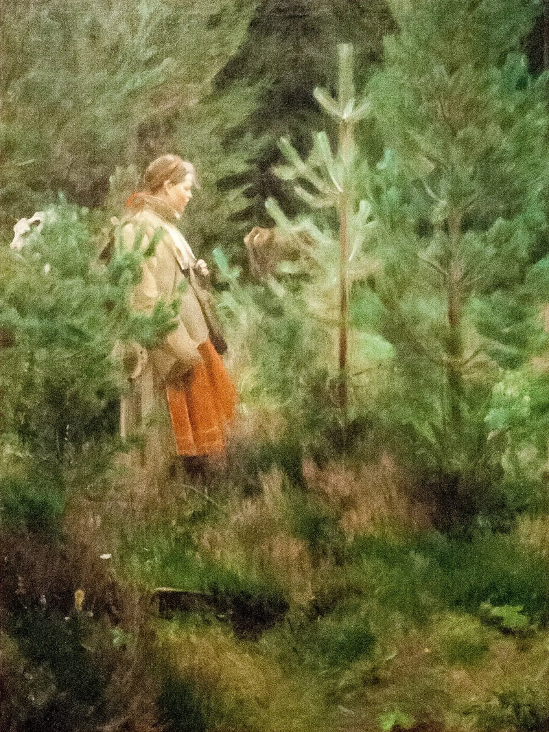Bergéra - Anders Zorn