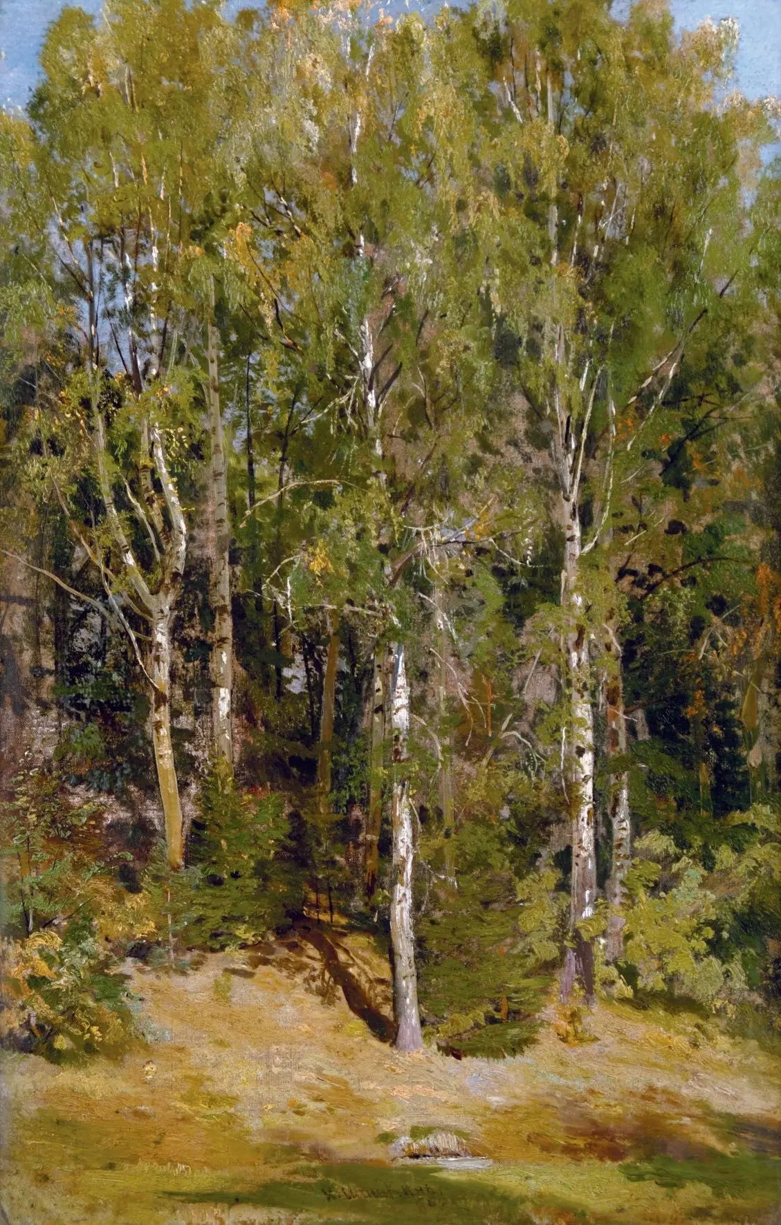 Birch Grove - Ivan Chichkine - Alpha Reproduction
