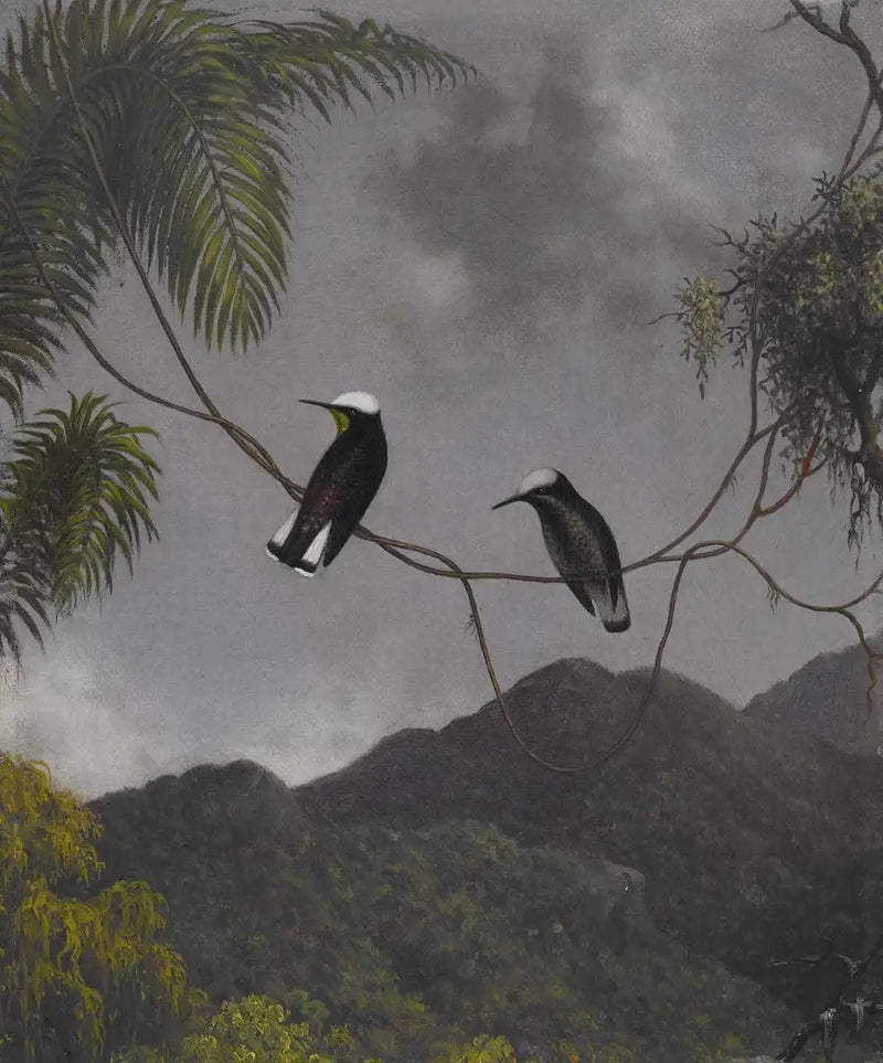 Sníhání klobouk - Martin Johnson Heade