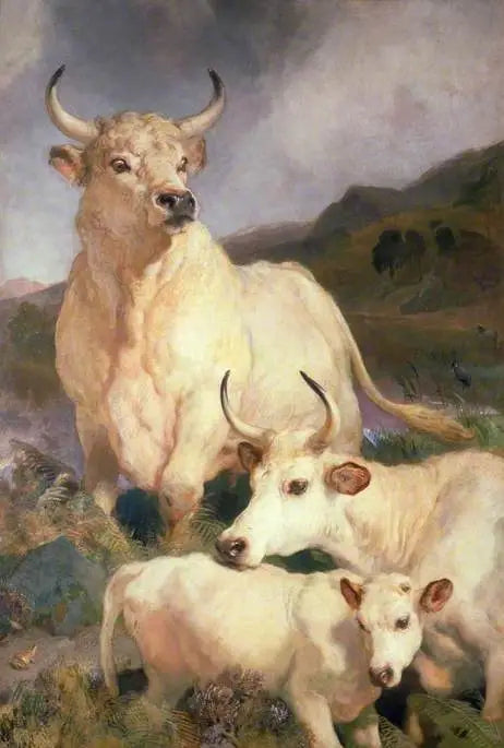 Divocí skot z Chillingham, Northumberland - Edwin Henry Landseer