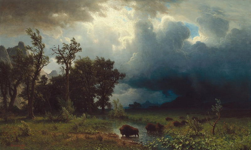 Buffalo Trail: Nadcházející bouře - Albert Bierstadt