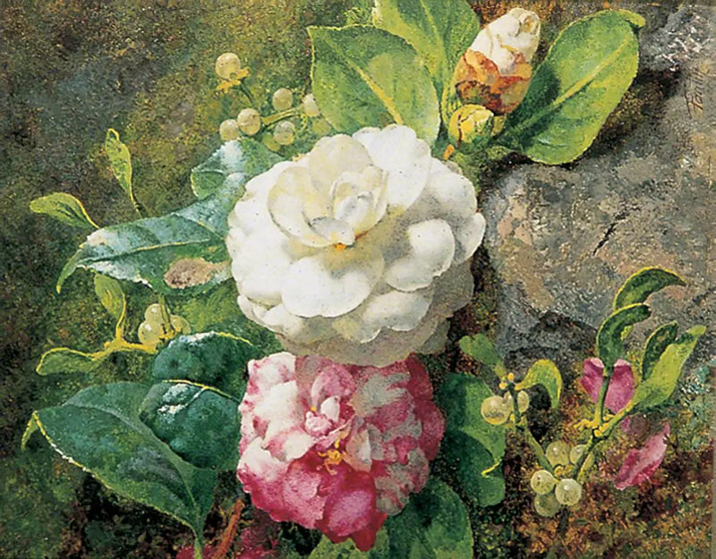 Kamélie - Henri Fantin-Latour