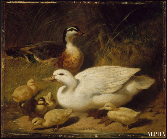 Canards et canetons - John Frederick Herring Snr - Reproductions de tableaux et peintures haut de gamme