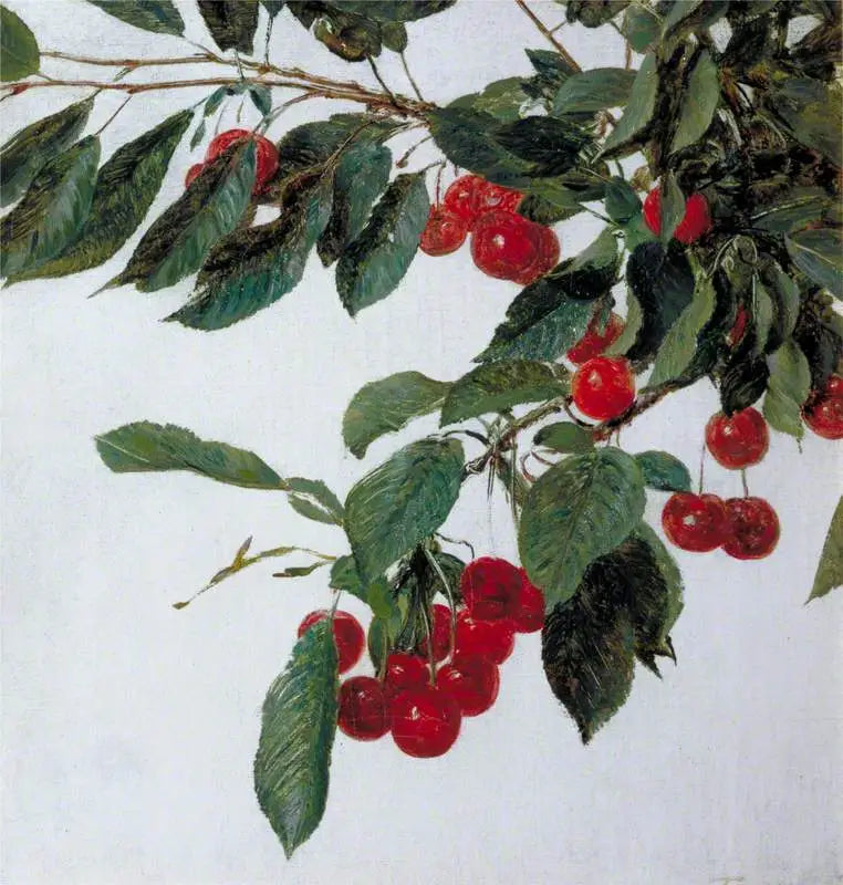 Třešně - Henri Fantin-Latour