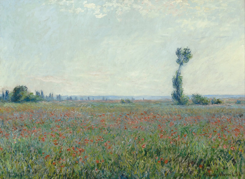 Pole máků - Claude Monet