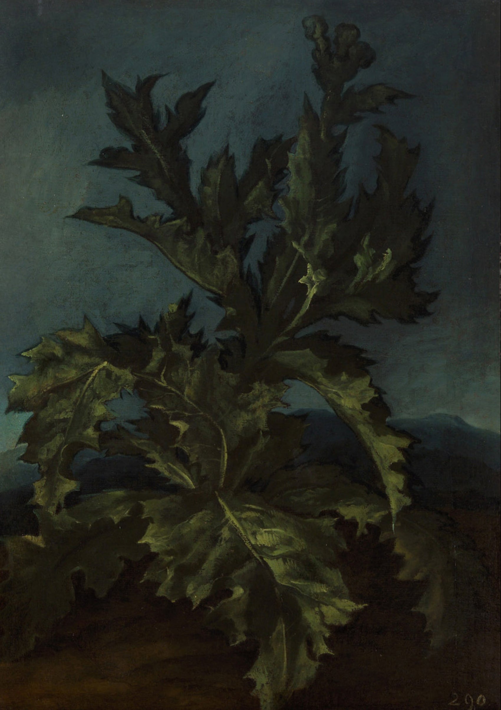 Chardon - Carlo Dolci - Alpha Reproduction