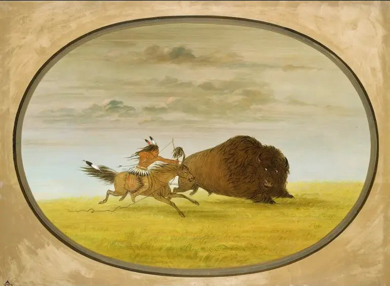 Chasse au bison - George Catlin - Alpha Reproduction