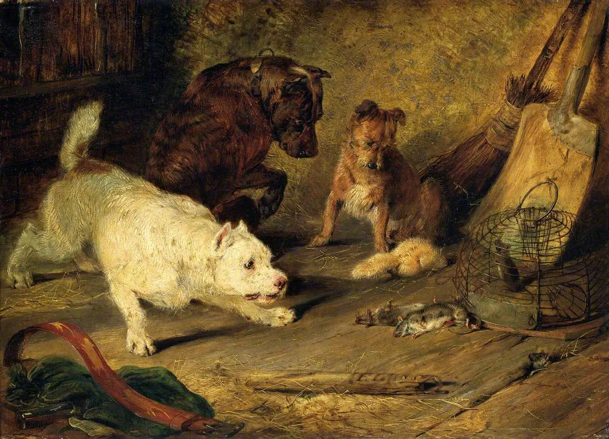 Chasseurs de rats - Edwin Henry Landseer - Alpha Reproduction