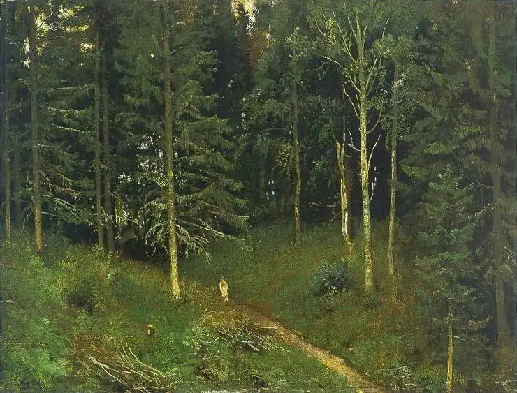 Chemin dans la forêt (forêt d’épicéas) - Ivan Chichkine - Alpha Reproduction