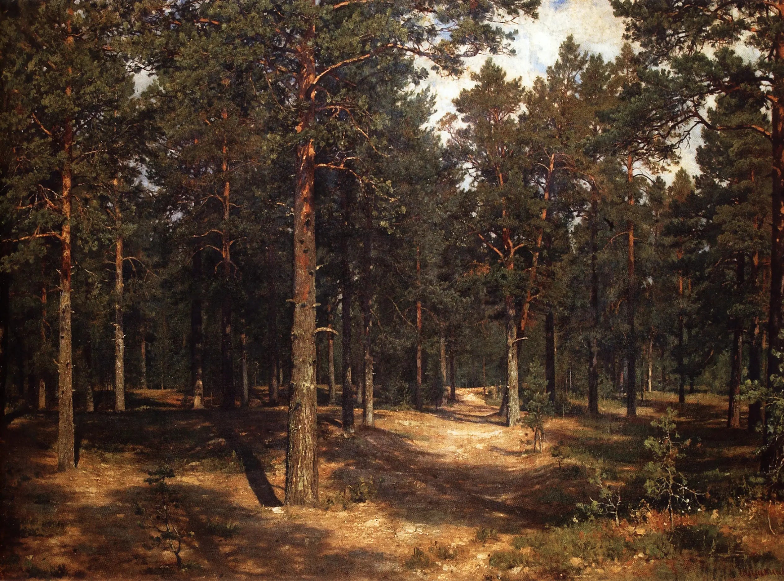 Chemin parmi les pins - Ivan Chichkine - Alpha Reproduction