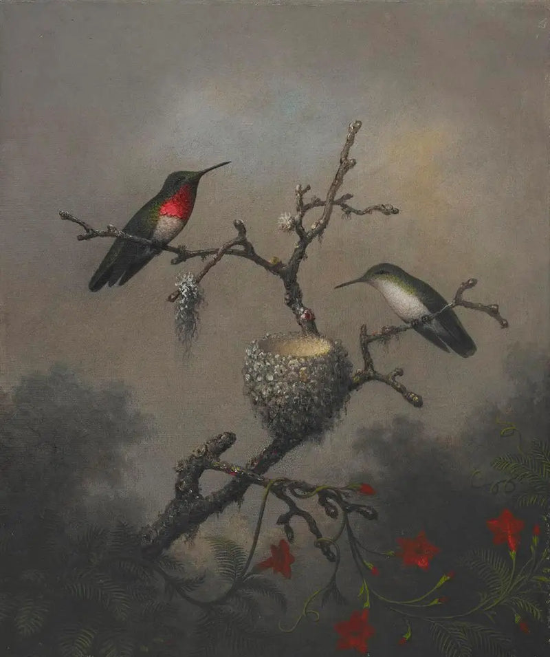 Kolibřík s rubínovým hrdlem - Martin Johnson Heade