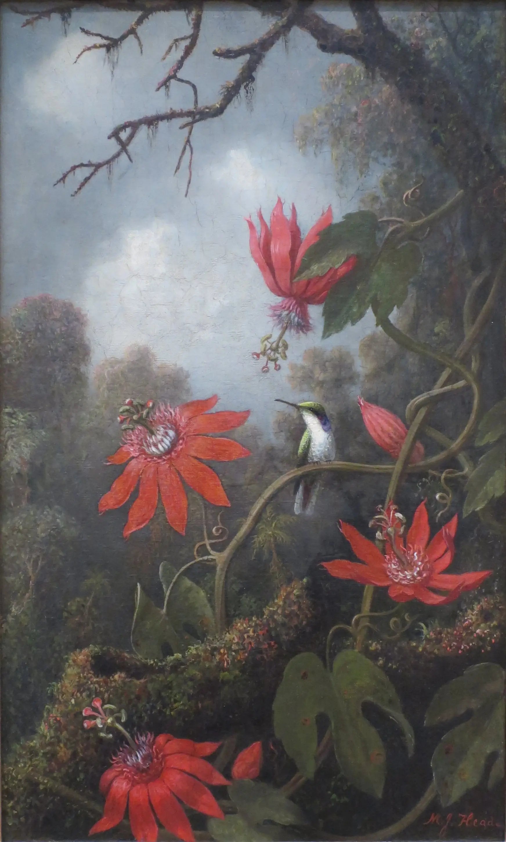 Colibri et passiflores - Martin Johnson Heade - Alpha Reproduction