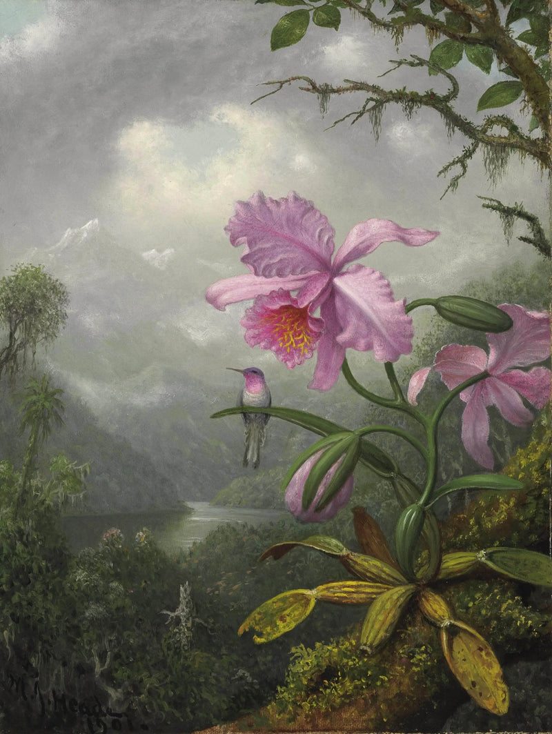 Kolibri sedící na orchidejové rostlině - Martin Johnson Heade