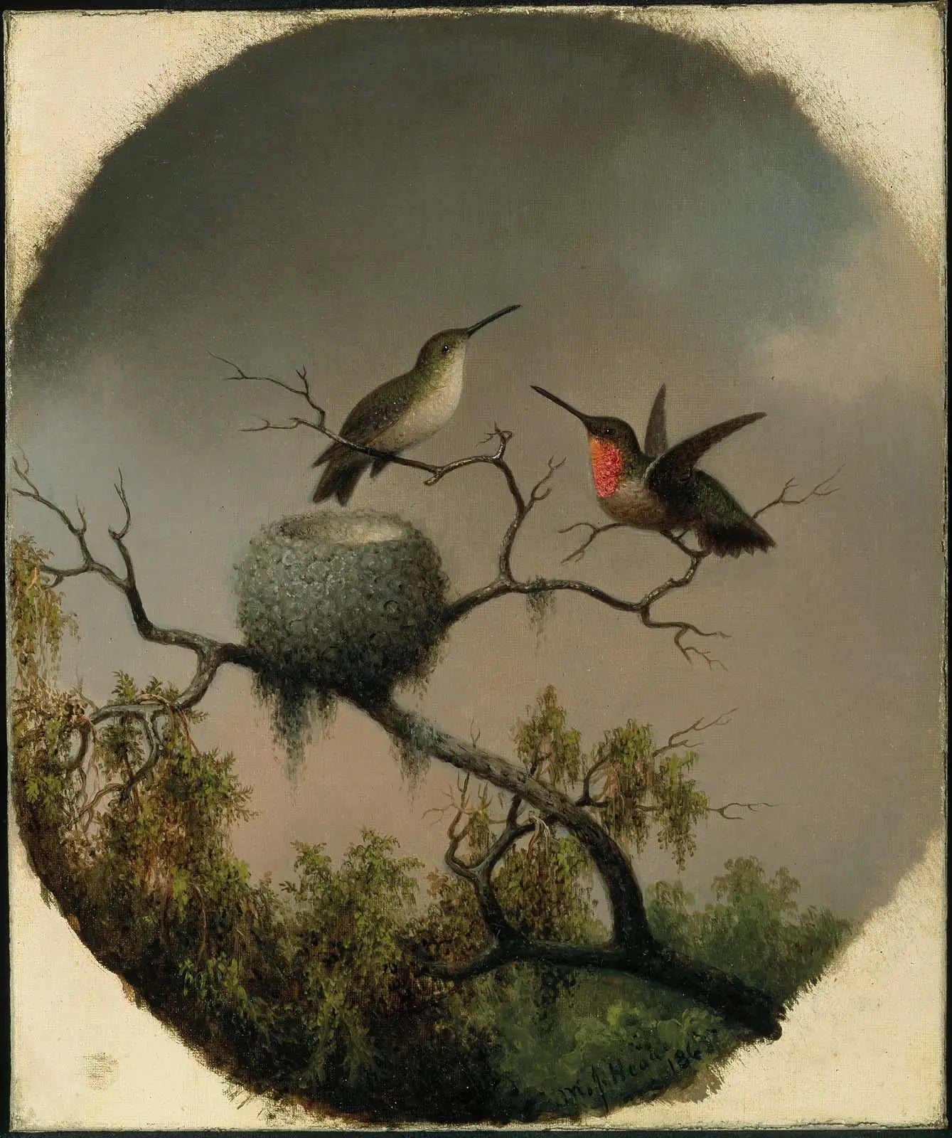 Colibris avec nid - Martin Johnson Heade - Alpha Reproduction