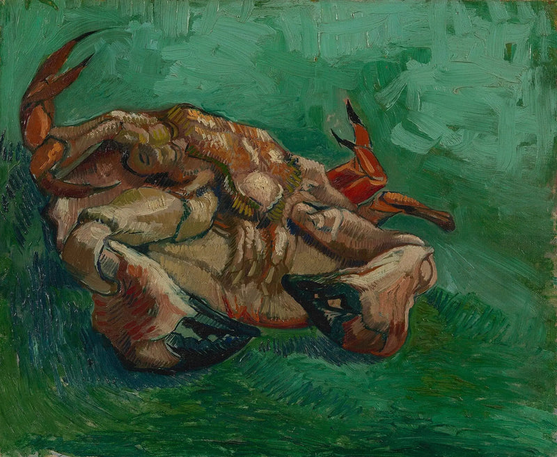 Krab, ležící na zádech - Vincent van Gogh