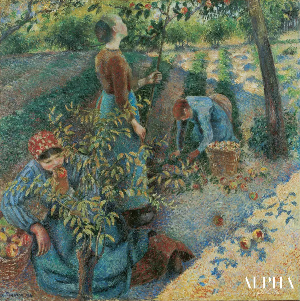 Cueillette des pommes - Camille Pissarro - Reproductions de tableaux et peintures haut de gamme