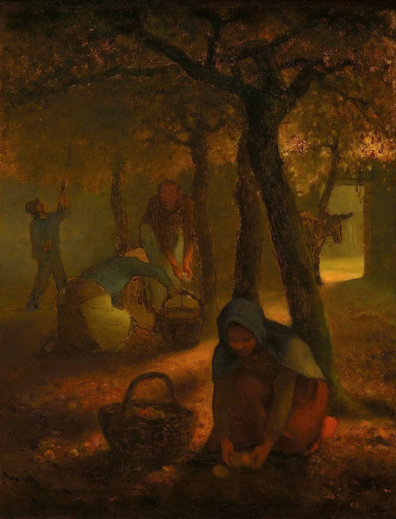 Sklízecí jablka - Jean-François Millet
