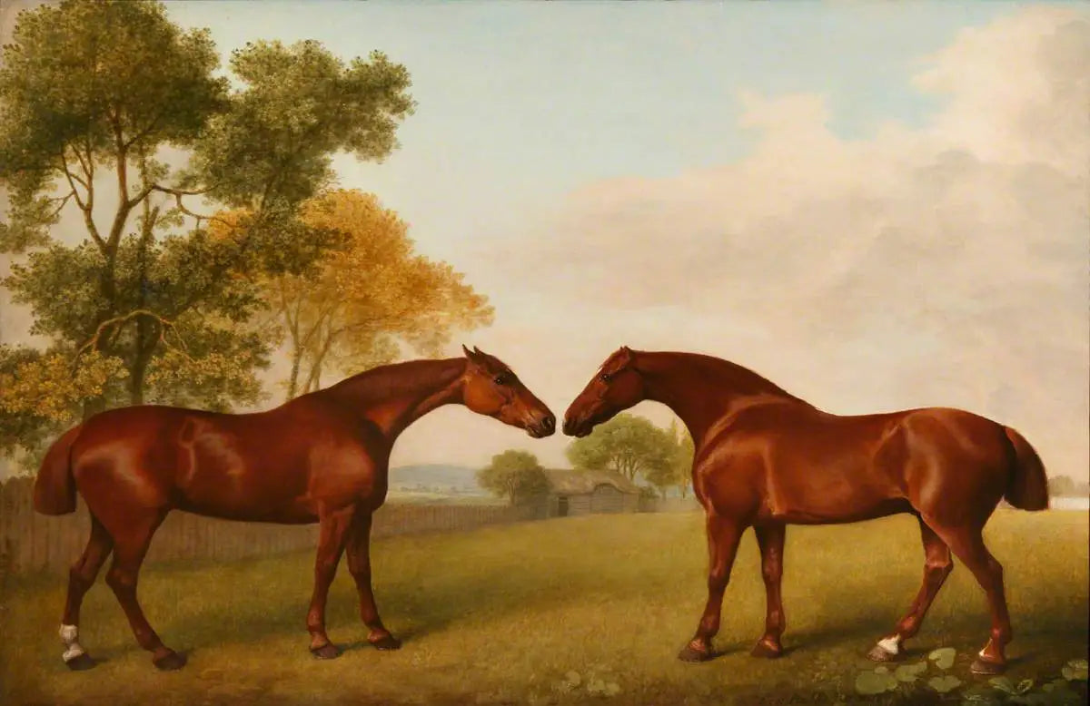 Deux chevaux dans un enclos - George Stubbs - Alpha Reproduction