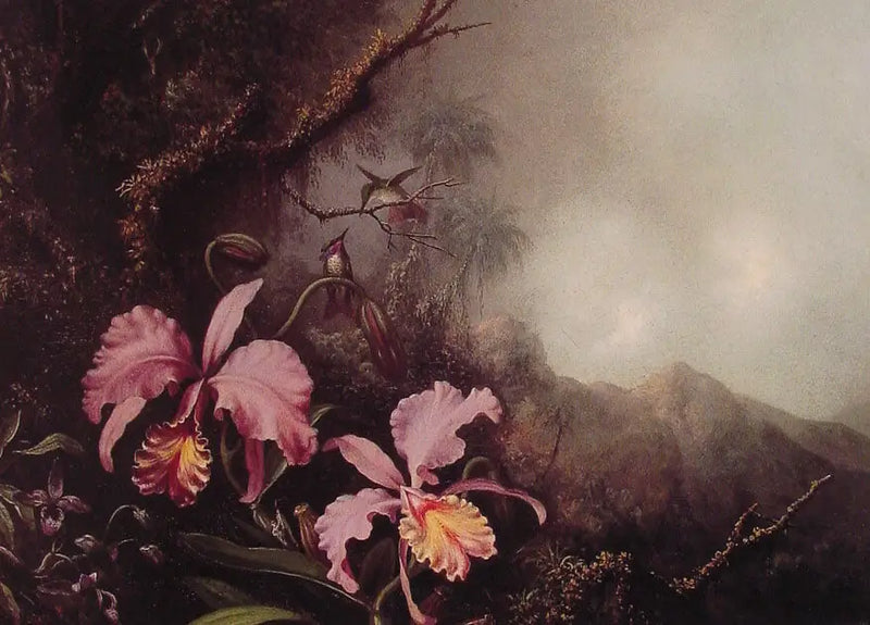 Dvě orchideje v horské krajině - Martin Johnson Heade