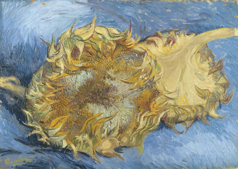 Dva slunečnice - Vincent van Gogh