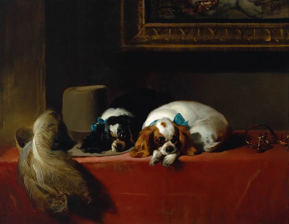 Épagneuls King Charles (« Les animaux de compagnie du cavalier ») - Edwin Henry Landseer - Alpha Reproduction