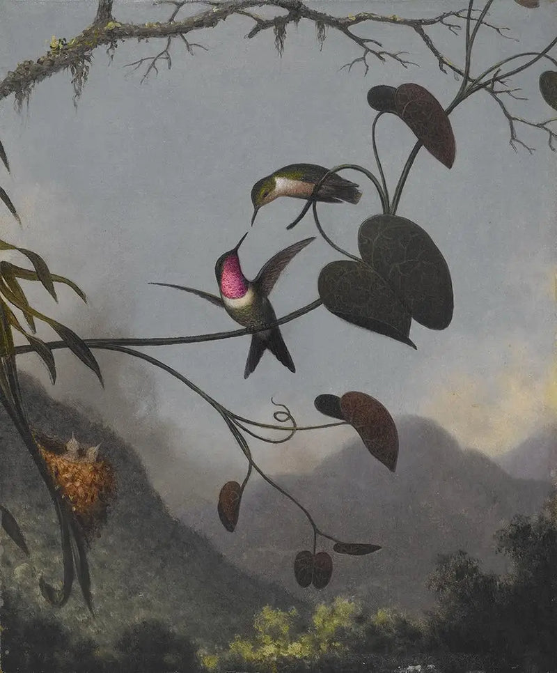 Ametystová hvězda ze dřeva - Martin Johnson Heade