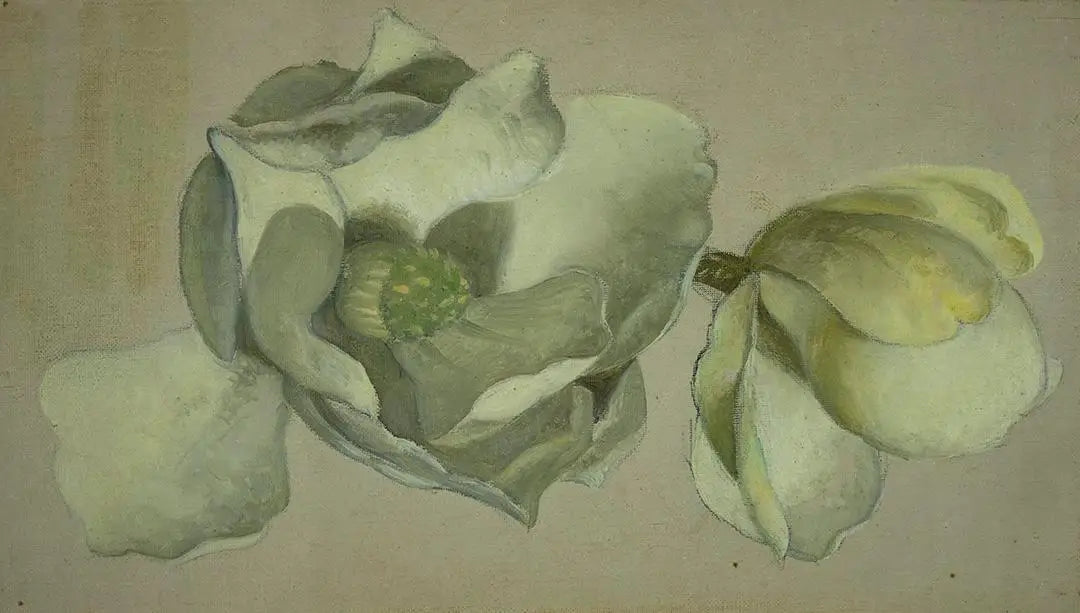 Étude de deux fleurs de magnolia - Martin Johnson Heade - Alpha Reproduction
