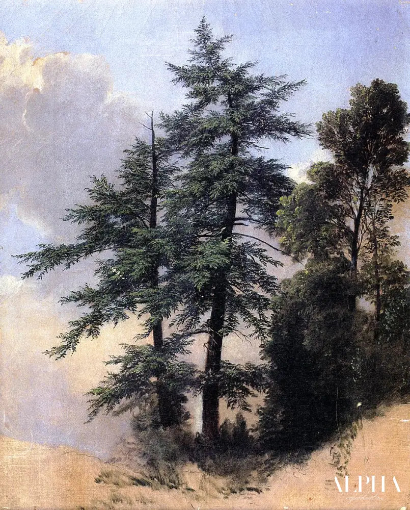 Étude de la nature des arbres de Newburgh, New York, 1849 - Asher Brown Durand - Reproductions de tableaux et peintures haut de gamme