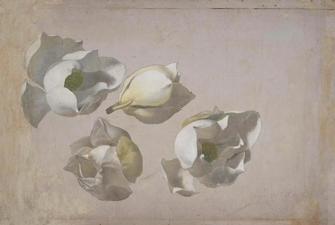 Étude de quatre fleurs de magnolia - Martin Johnson Heade - Alpha Reproduction