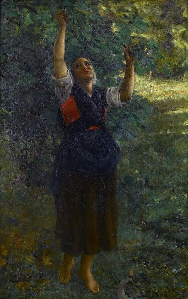 Fille cueillant des figues - Jules Breton - Alpha Reproduction