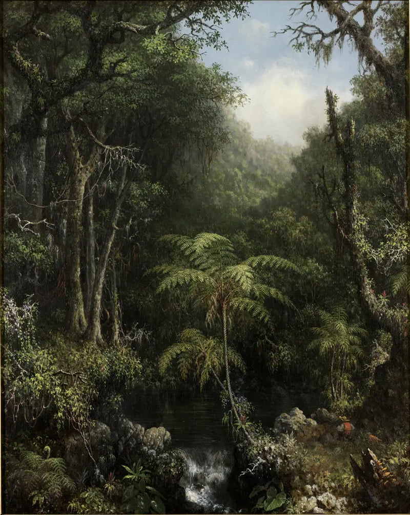 Brazilská deštná pralesa - Martin Johnson Heade