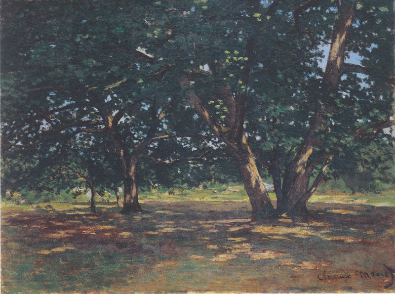 Les Forêt de Fontainebleau - Claude Monet
