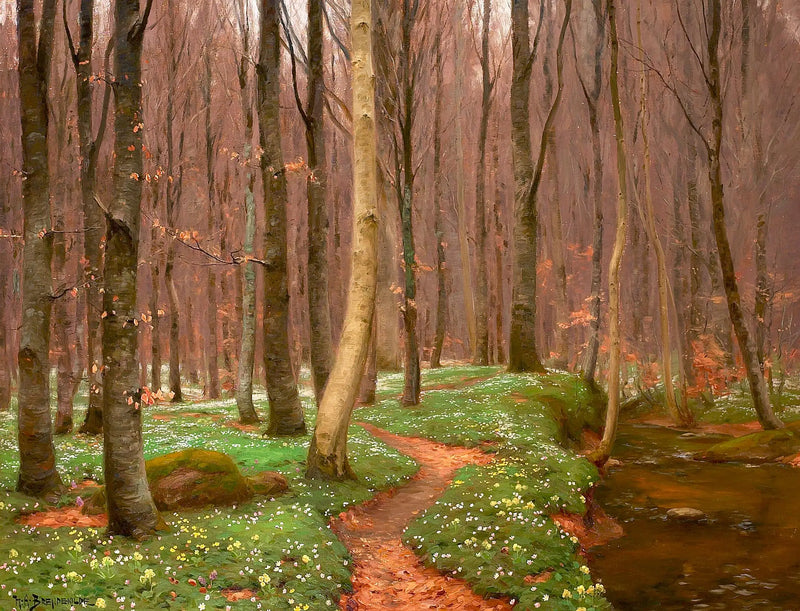 Břízový les s květoucími pivoňkami a malým potokem. - H. A. Brendekilde