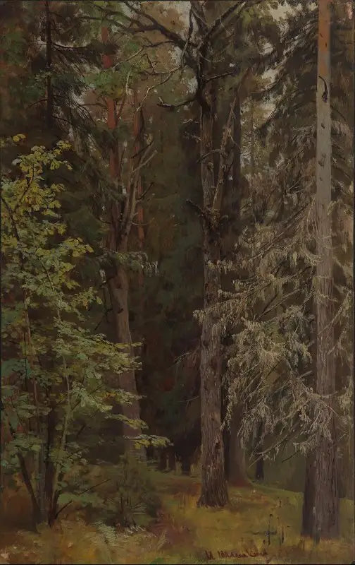 Forêt mixte - Ivan Chichkine - Alpha Reproduction