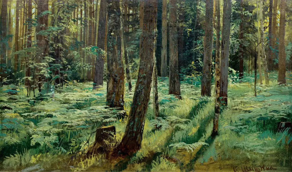Fougères dans la forêt. Siverskaya. Étude - Ivan Chichkine - Alpha Reproduction