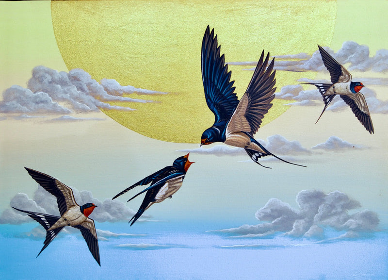 Hirundel v nebi  | 70 x 50 cm