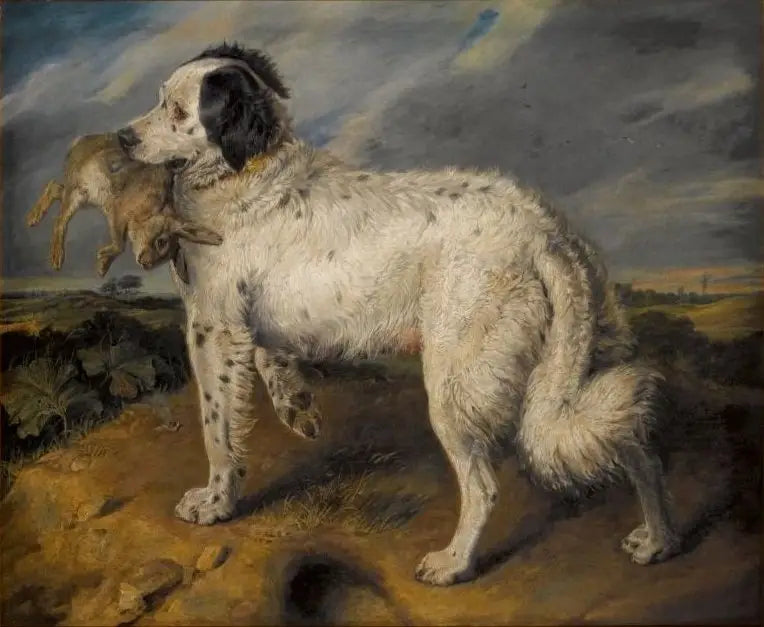 La Championne : Venuše - Edwin Henry Landseer