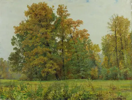 La lisière de la forêt - Ivan Chichkine - Alpha Reproduction