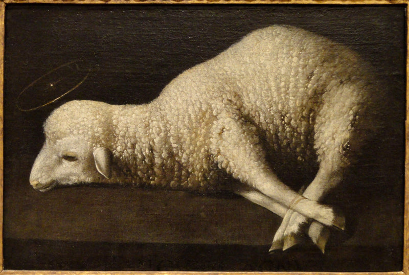 Ježíšovo Beránče - Francisco de Zurbarán
