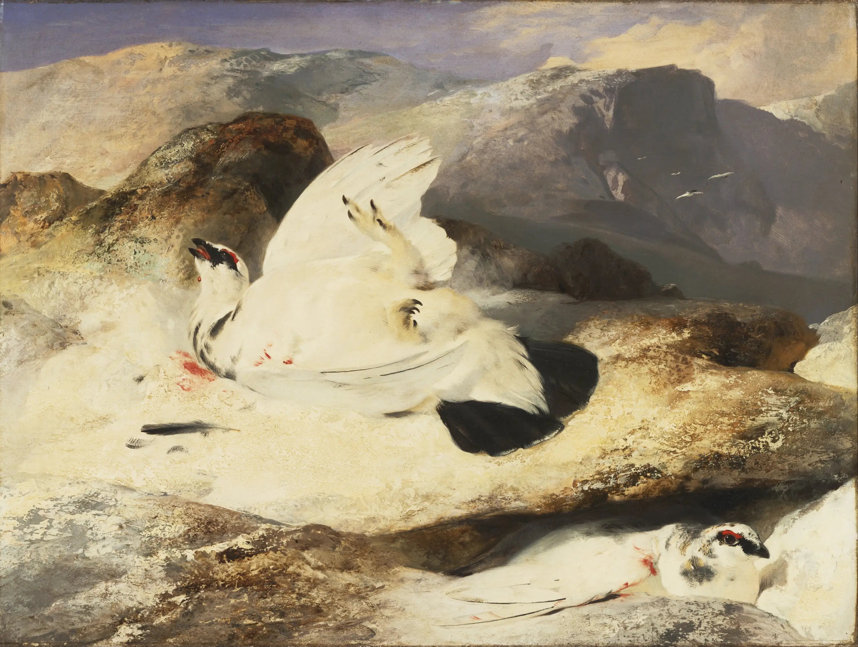 Lagopède dans un paysage - Edwin Henry Landseer - Alpha Reproduction
