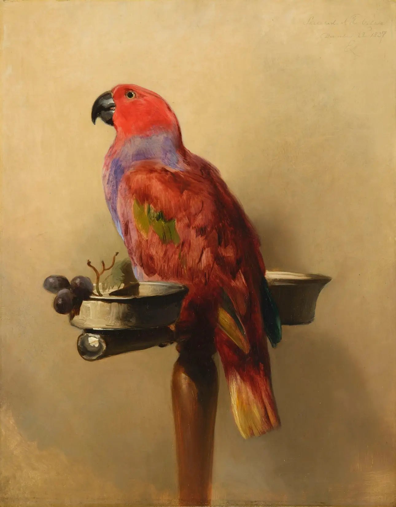 Le Lori - Edwin Henry Landseer - Alpha Reproduction