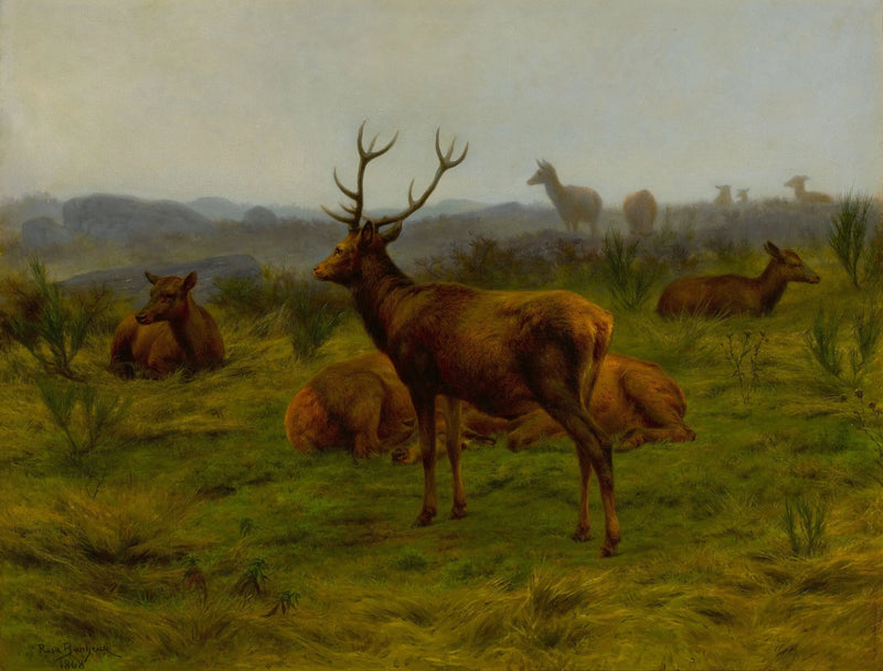 Monarcha smečky - Rosa Bonheur