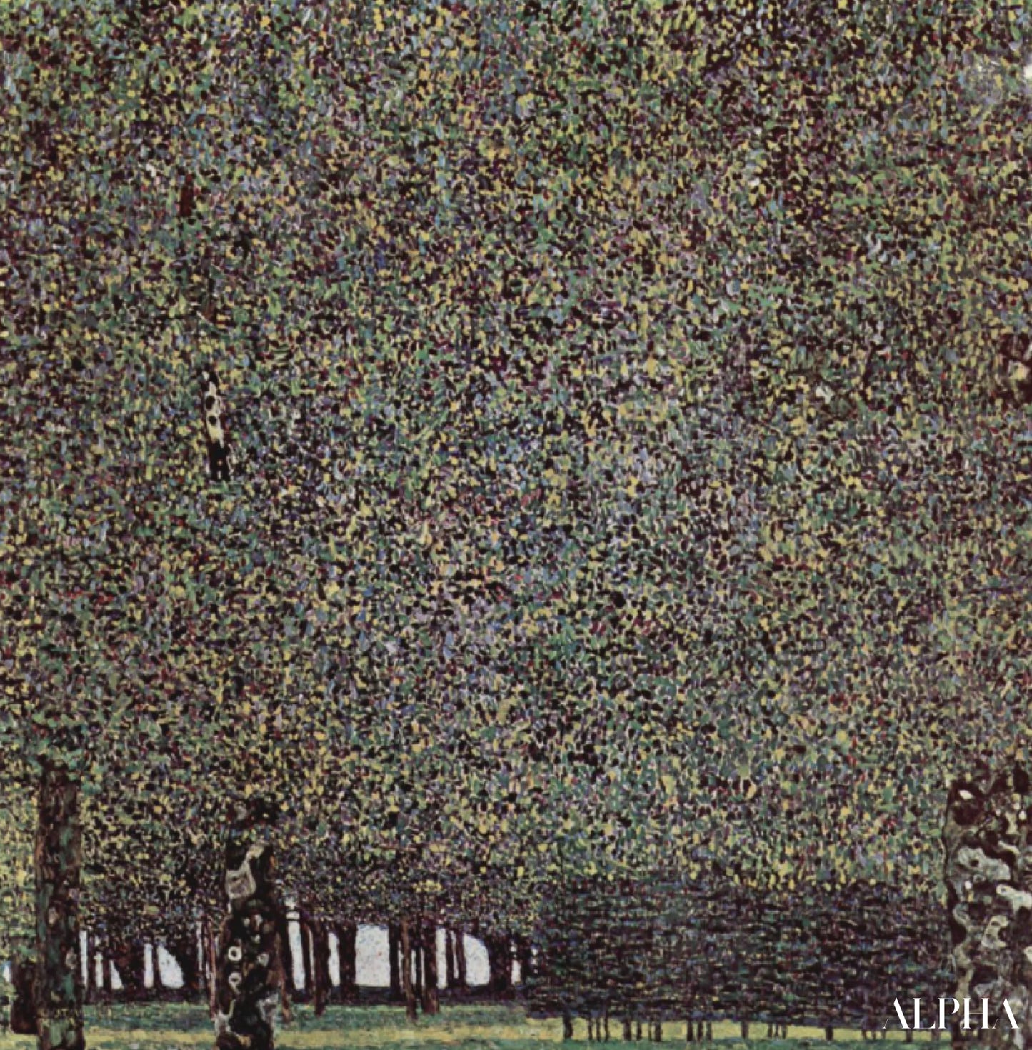 Le Parc - Gustav Klimt - Reproductions de tableaux et peintures haut de gamme