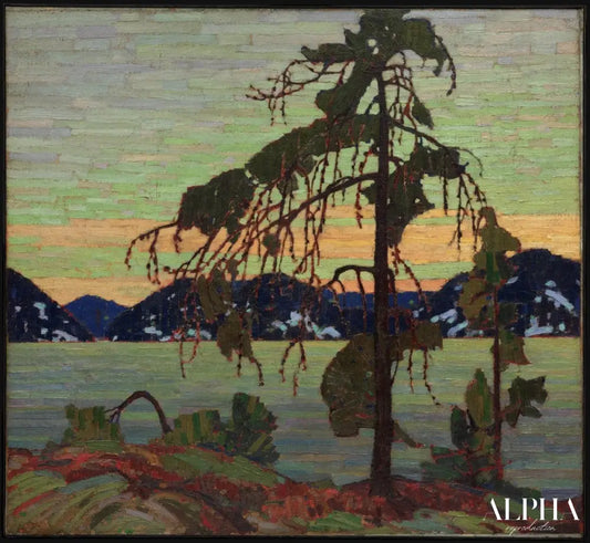 Le pin gris - Tom Thomson - Reproductions de tableaux et peintures haut de gamme