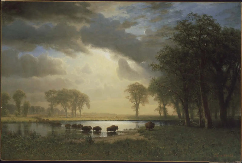Stezka bizona - Albert Bierstadt