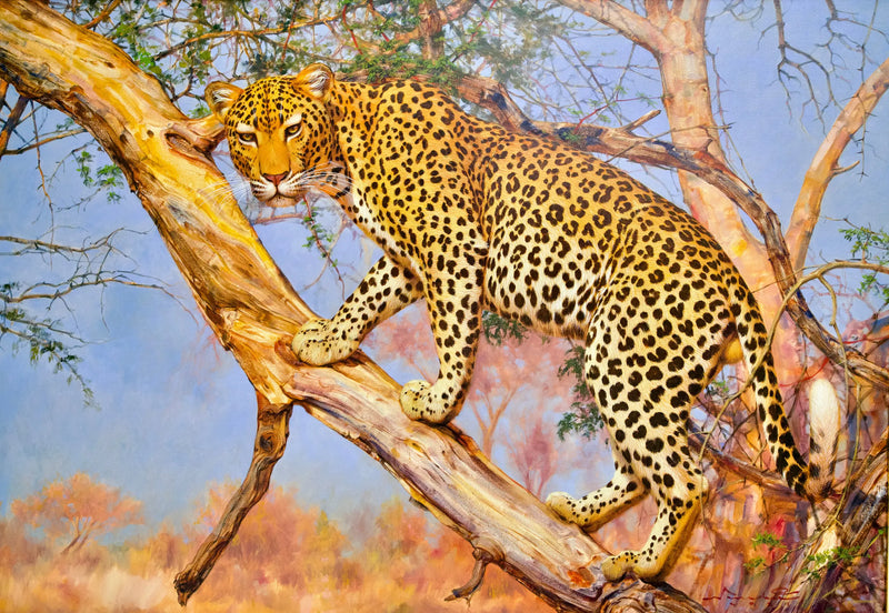 Leopard na stromě | 150 x 100 cm