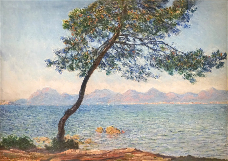 Antibakteriální - Claude Monet