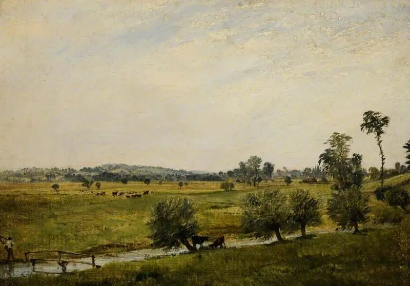 Mokré louky, Salisbury, Wiltshire - John Constable