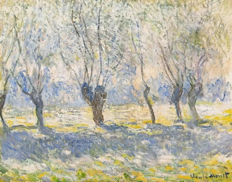 Vrby, Jeffrey - Claude Monet